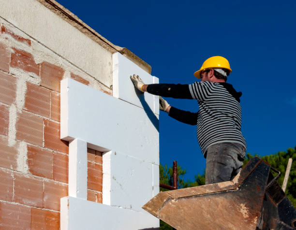Best Insulation Replacement Services  in Ladysmith, WI
