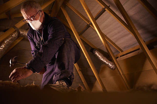 Insulation Repair Services in Ladysmith, WI
